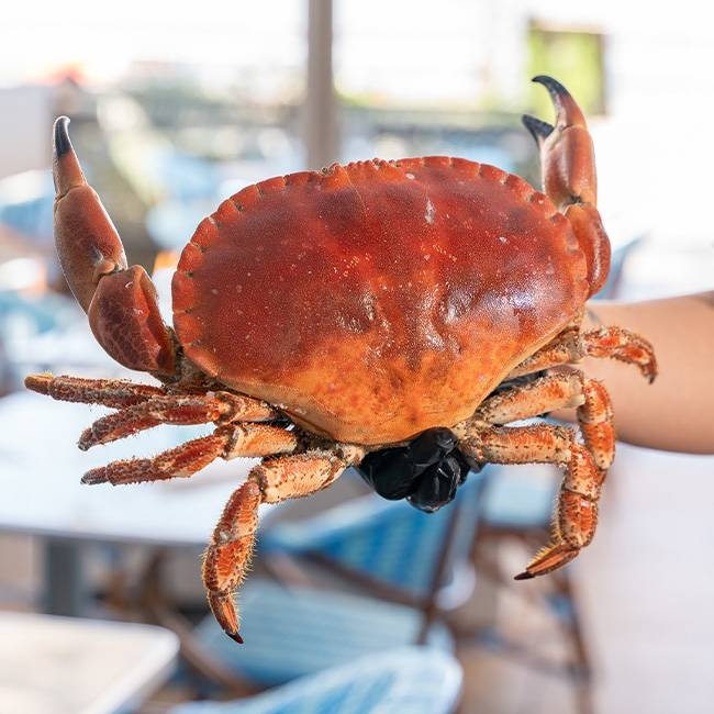Le Roy René - restaurant Marseille - top resto Marseille