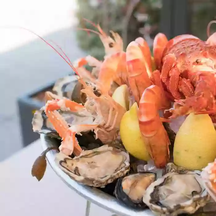 Coquillages - Le Roy René - Restaurant Marseille - restaurant Méditérranéen Marseille